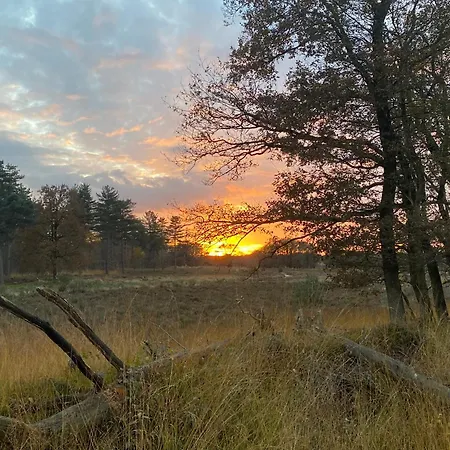 Villa Luxury Forest 3 Bed