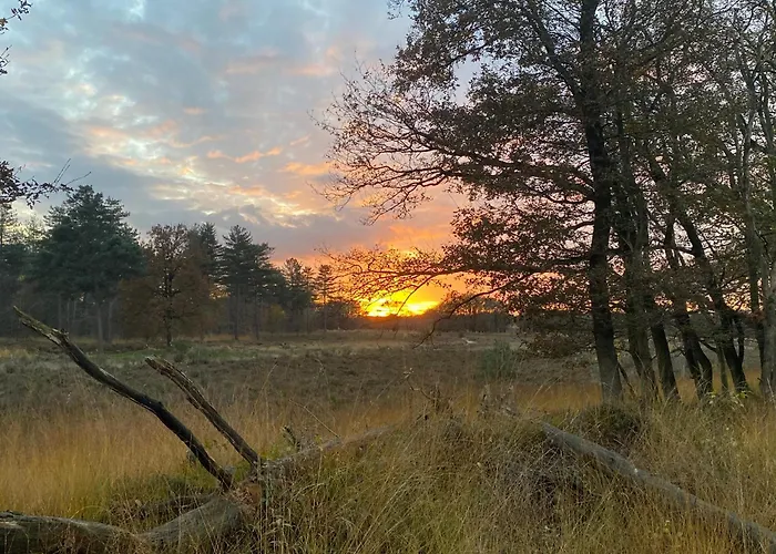 Villa Luxury Forest 3 Bed