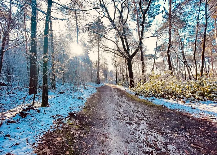 Luxury Forest 3 Bed Villa Groesbeek