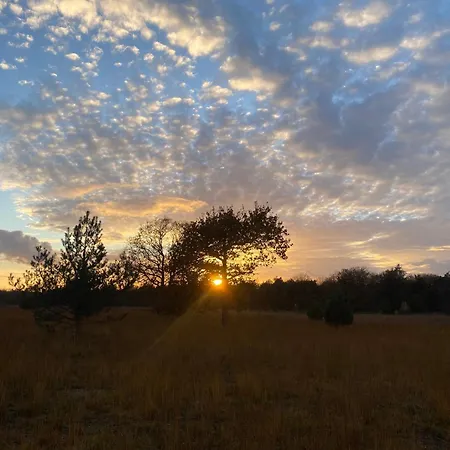 Luxury Forest 3 Bed Villa Groesbeek