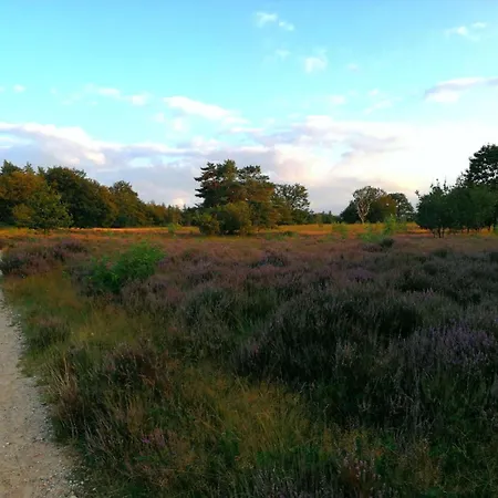 Luxury Forest 3 Bed Villa