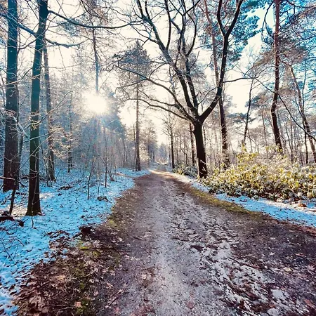 Luxury Forest 3 Bed Villa Groesbeek