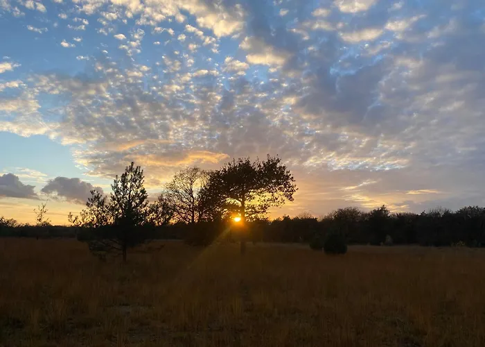 Luxury Forest 3 Bed Villa Groesbeek