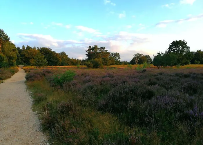 Luxury Forest 3 Bed Villa