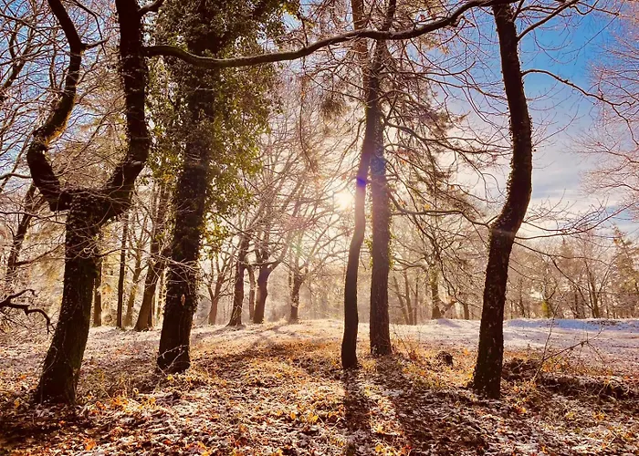 Villa Luxury Forest 3 Bed